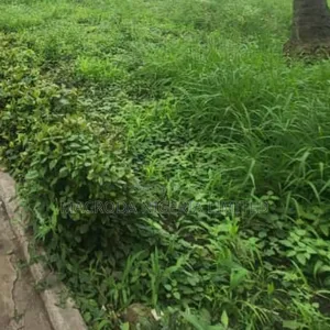 Land Available for Sale