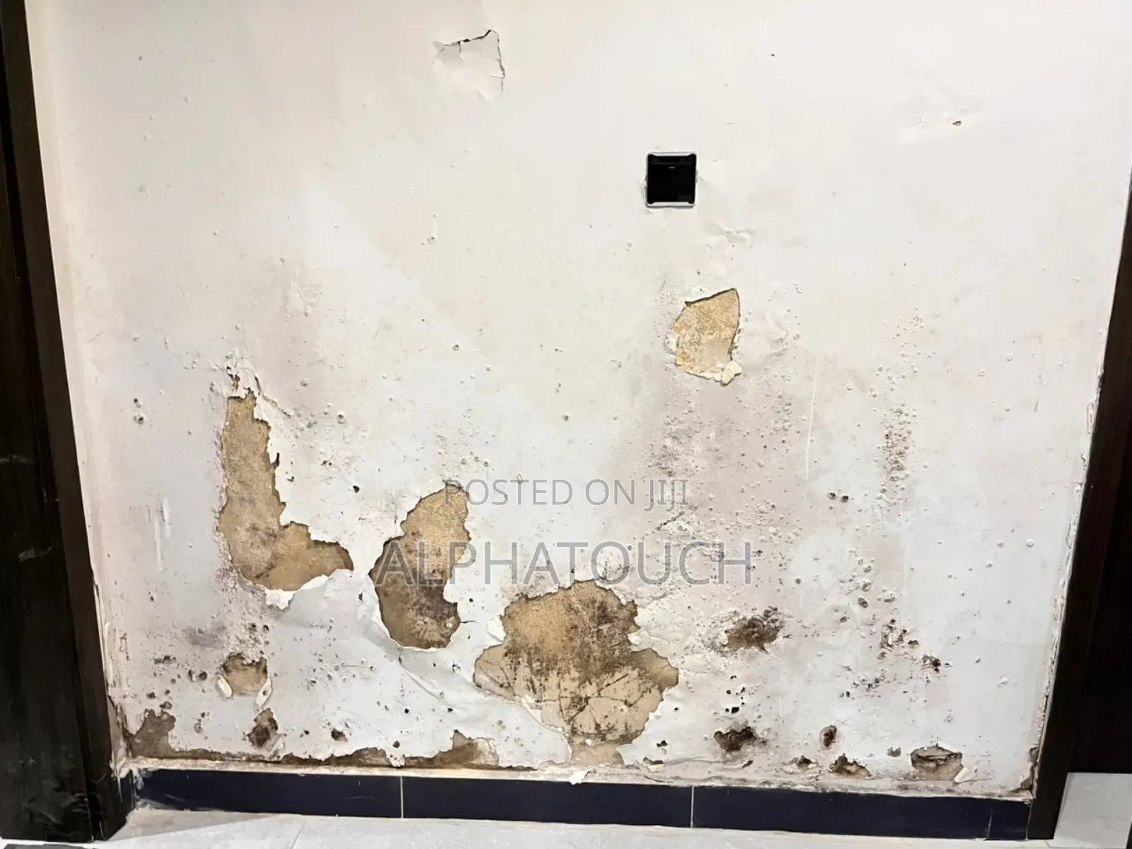 Dampness and Mold Treatment