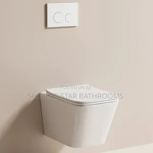 Square Wall Hung Conceal Toilet Set