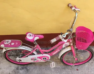 Pink 18inches Beautiful Bicycle