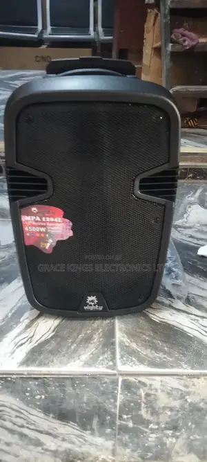 Mighty Pro 12" Rechargeable Speaker With 2mics