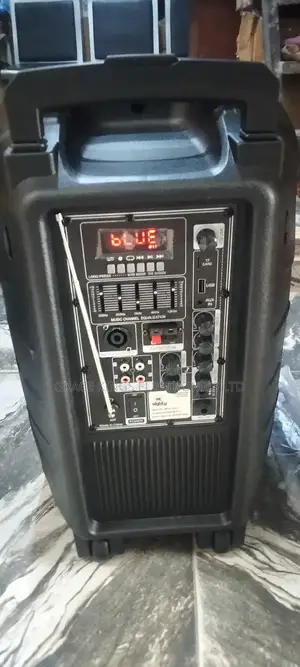 Mighty Pro 12" Rechargeable Speaker With 2mics