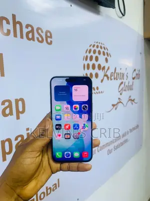 Apple iPhone 15 Pro Max 256 GB Gray