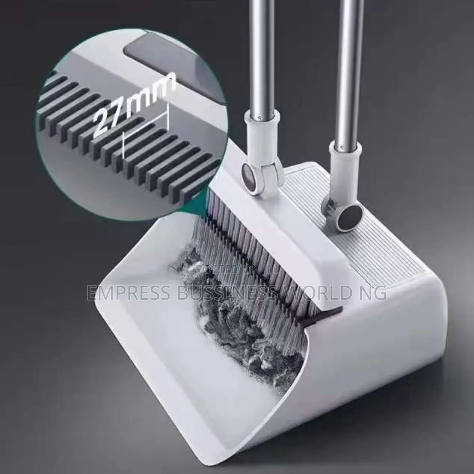 Modern Long Broom and Parker