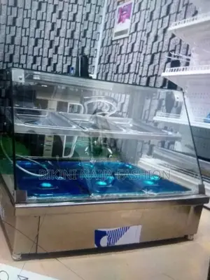 Restaurant Display Warmer