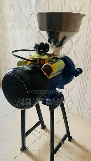 3000w Electric Mill Wet Dry Grinder Machine