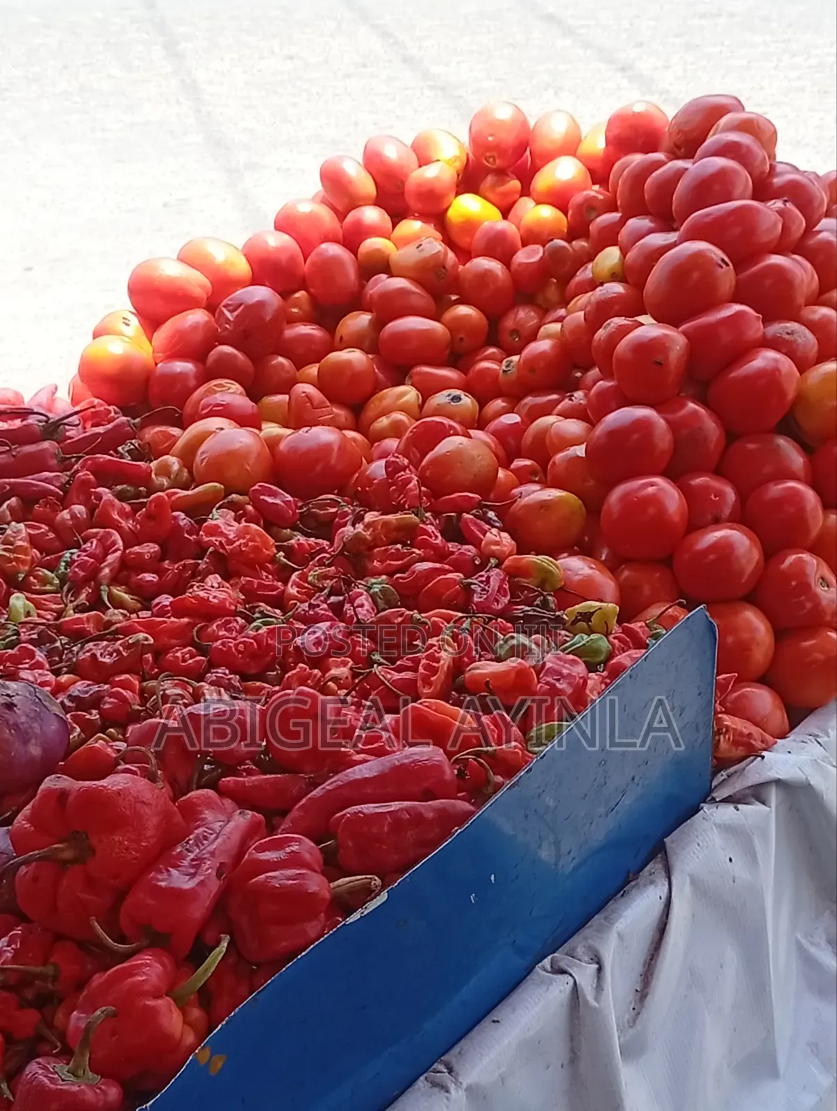 Perishable Foods