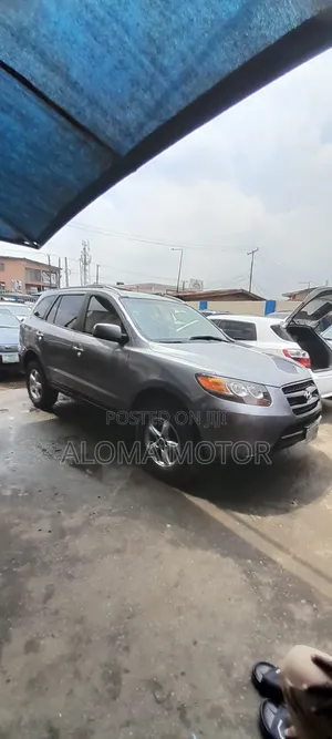Hyundai Santa Fe 2007 Blue