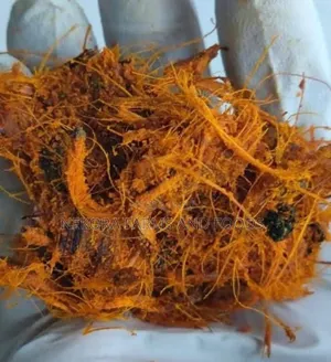 Dehydrated Banga Pulp
