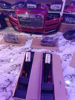 Rolls Royce Cullinan Back Shocks