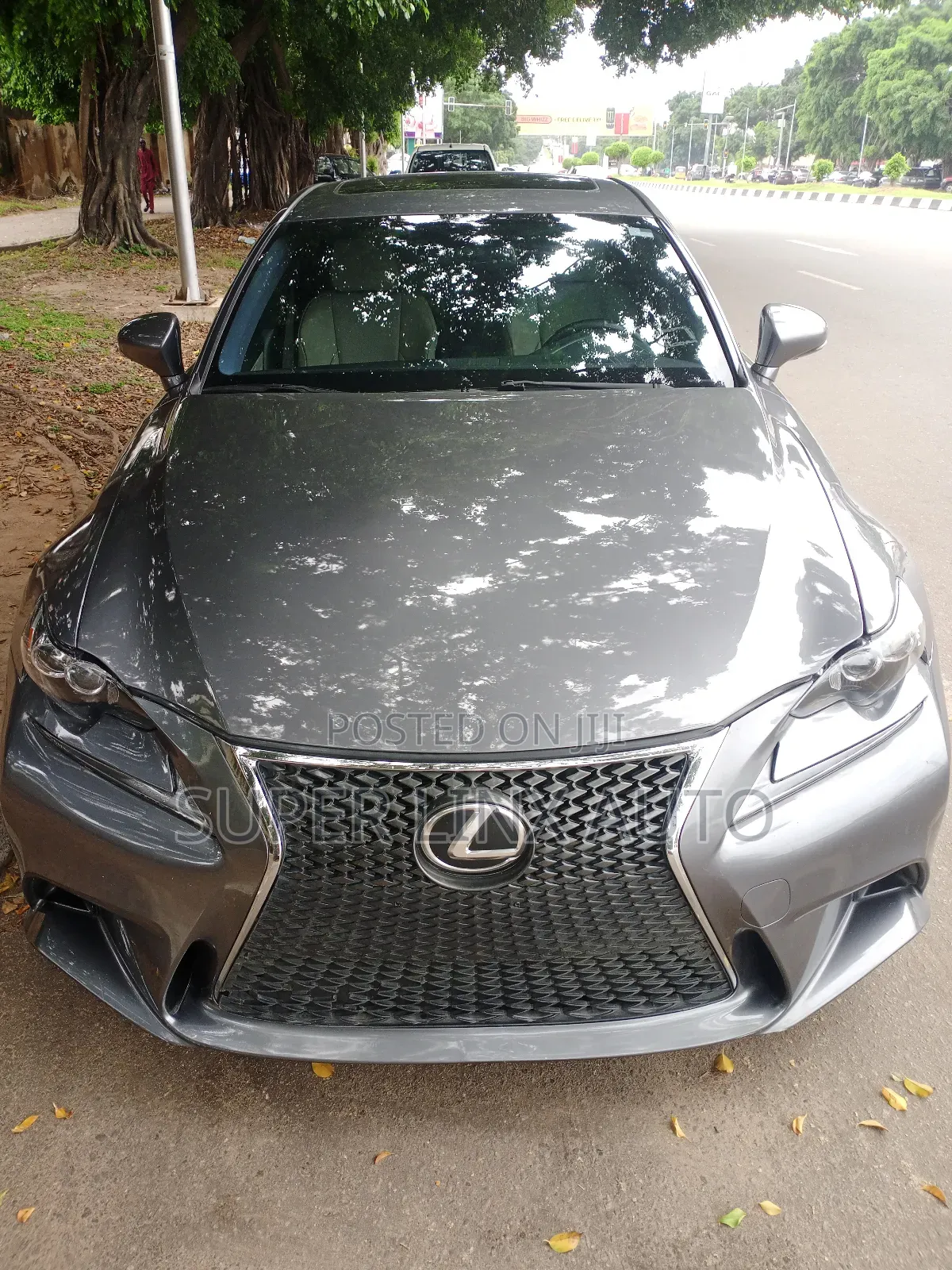 Lexus IS 2012 Gray