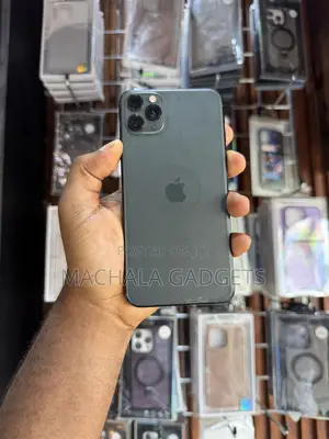 Apple iPhone 11 Pro Max 64 GB Gray