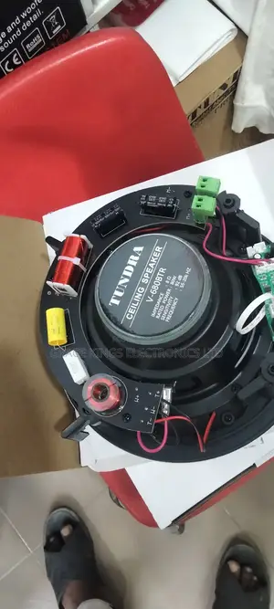 Bluetooth Ceiling Speaker