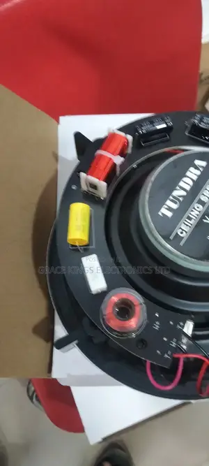 Bluetooth Ceiling Speaker