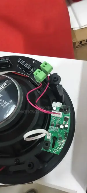 Bluetooth Ceiling Speaker