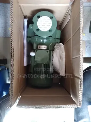 Saer Surface Pump