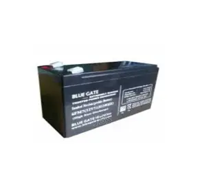 12v 24a Bluegate Battery