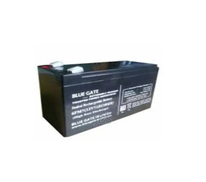 12v 24a Bluegate Battery