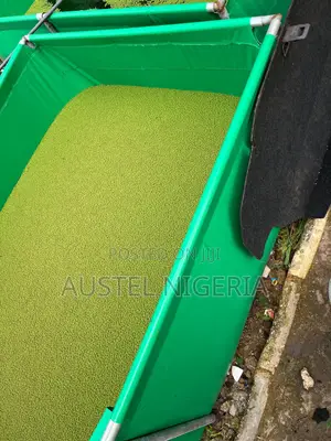 Azolla Plant (Feed Supplement)