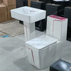 Dragon Toilet Set With Pink Stripe