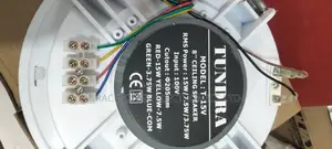 Tundra Voltage Ceiling Speaker