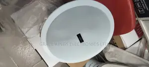 Tundra Voltage Ceiling Speaker