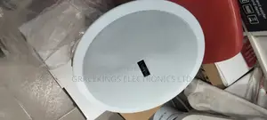 Tundra Voltage Ceiling Speaker
