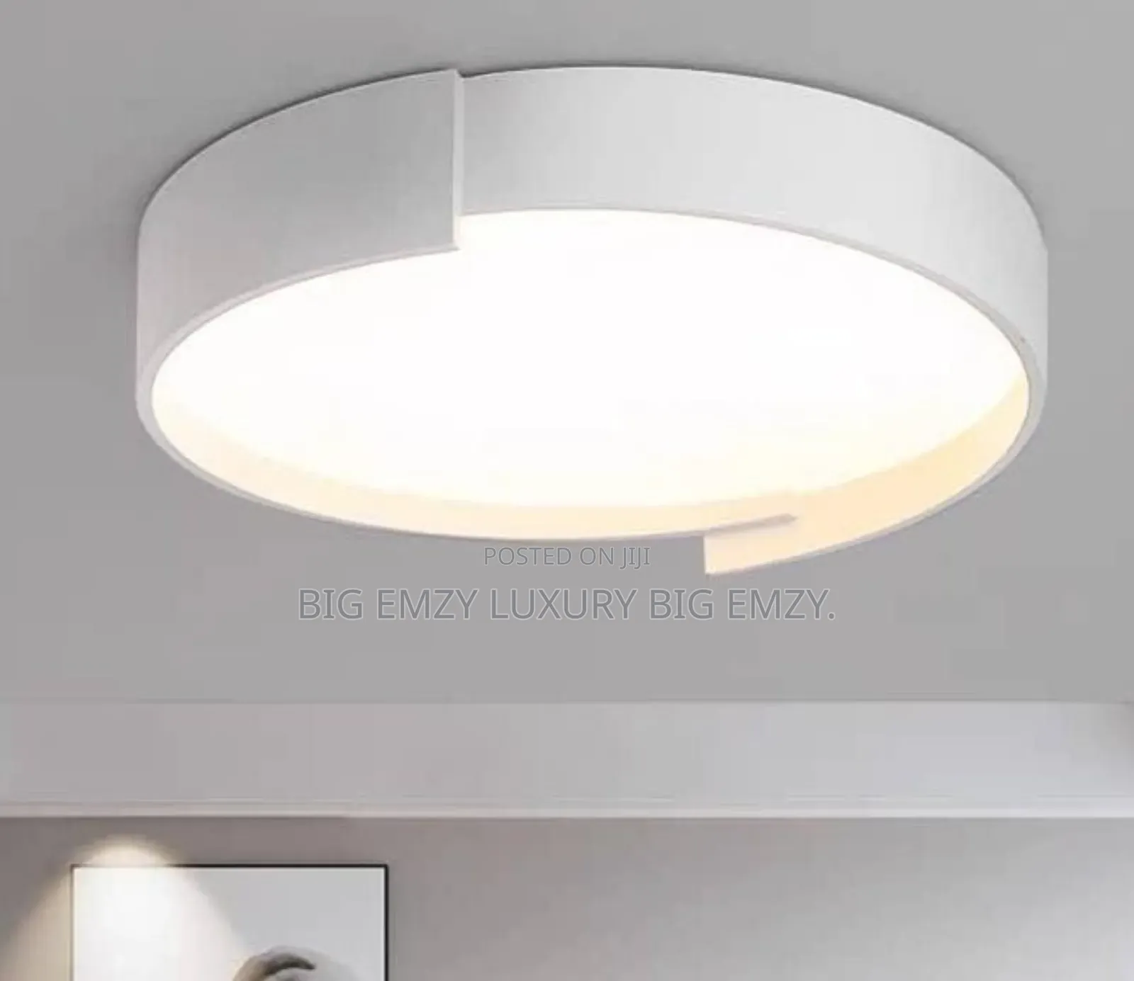 Black and White Living Room Ceiling Fitting Lights