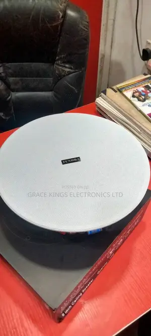100watts 8"Ceiling Speakers, Tundra