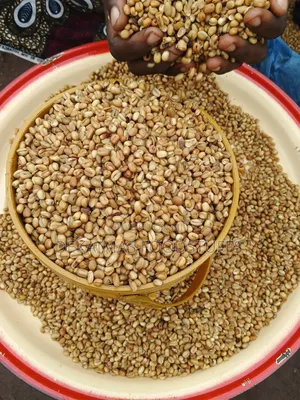 Fried Ukwa Nuts