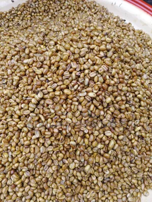Fried Ukwa Nuts