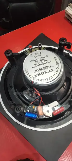 8" Inches Tundra Ceiling Speaker 50w