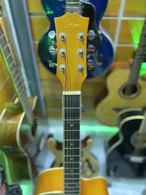 Semi Acoustic Guitar