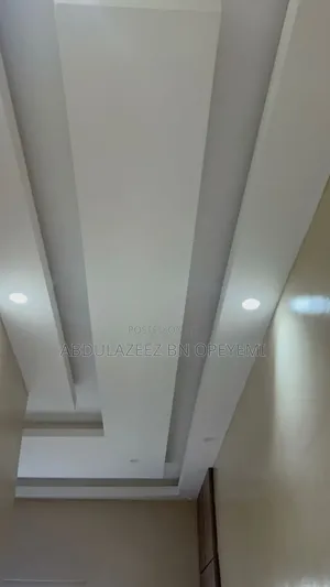 Professional Pop Ceiling