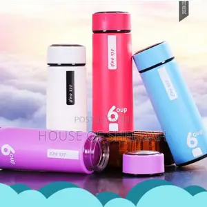 Double-Layer Water Cups With Custom Logo