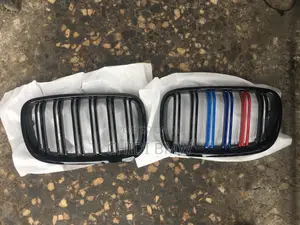 BMW E70 X5 X6 Front Grill