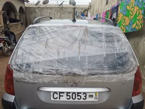 Peugeot 307 Wagon Back Glass Available