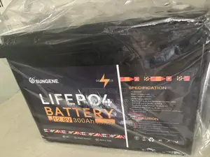 3.8kwh Lithium Battery 12v