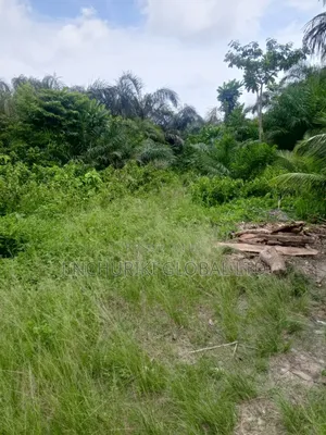 Prime Half a Plot at a Beautiful Emerging Estate