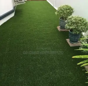 Astroturf Turf Grass Carpet Grass