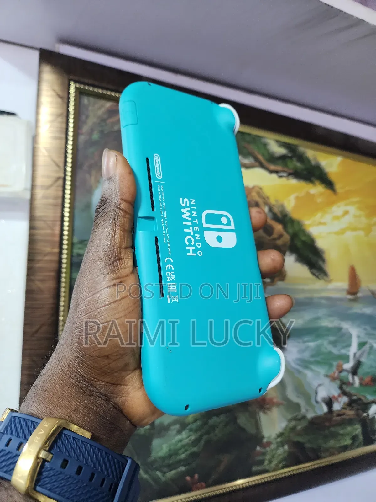 Nintendo Switch Lite Console