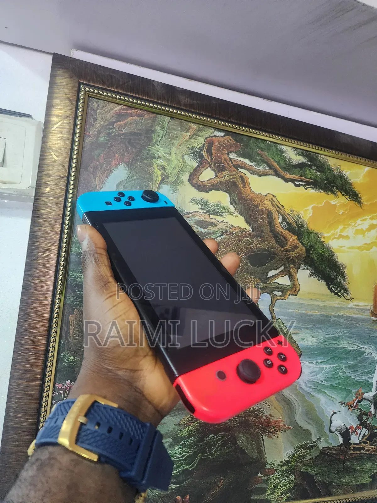 Nintendo Switch Extended Console