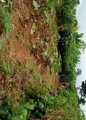 Poultry Farm For Sale