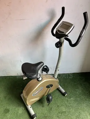 Magnetic Bike