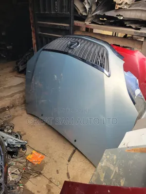 Lexus Rx 330 08 Model Bonnet Neat One