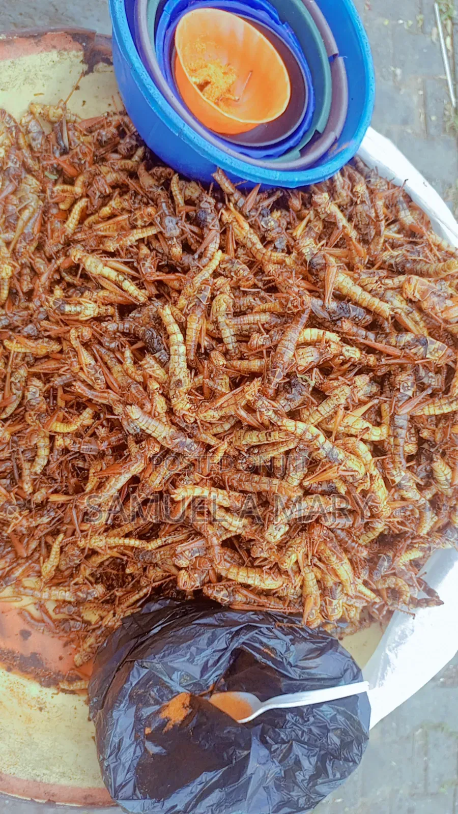 Grasshopper (Fara)