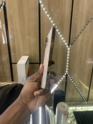 Apple iPhone 14 Pro Max 256 GB Gold