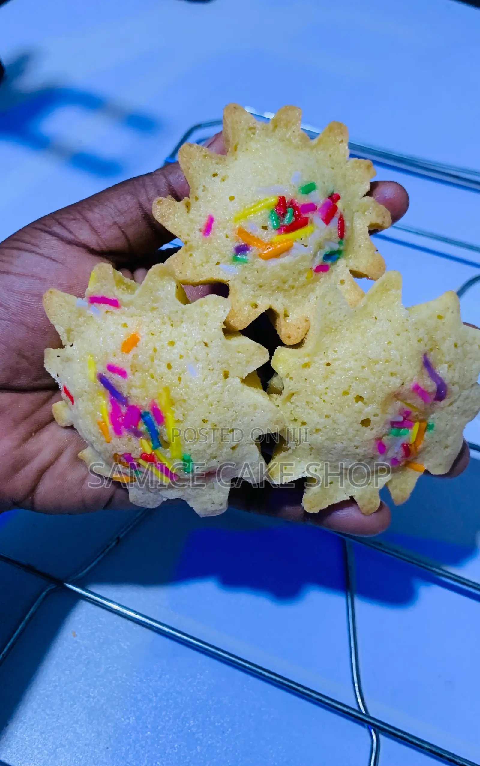 Plain Bento Cake