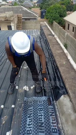 Whitewash Waterproofing Expert