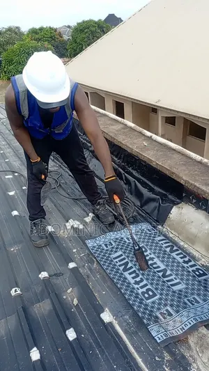 Whitewash Waterproofing Expert